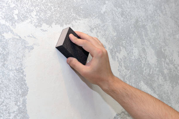 Mold Documentation for Insurance Claims in Woodlynne, NJ