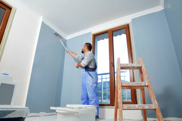 Best Basement Mold Removal  in Woodlynne, NJ