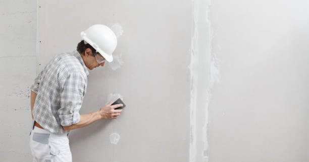 Best Mold Odor Removal Services  in Woodlynne, NJ