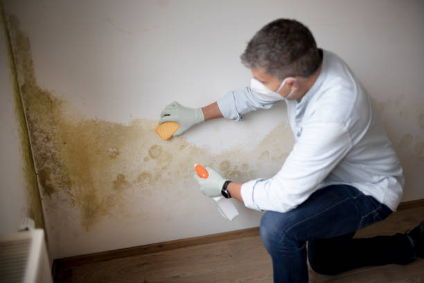 Best Crawl Space Mold Remediation  in Woodlynne, NJ