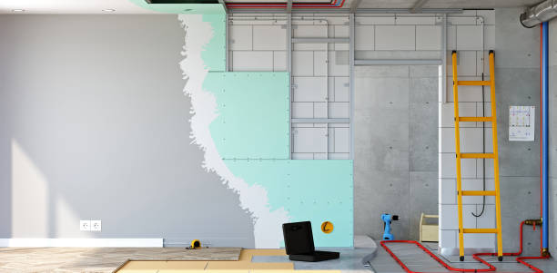 Best Emergency Mold Remediation  in Woodlynne, NJ
